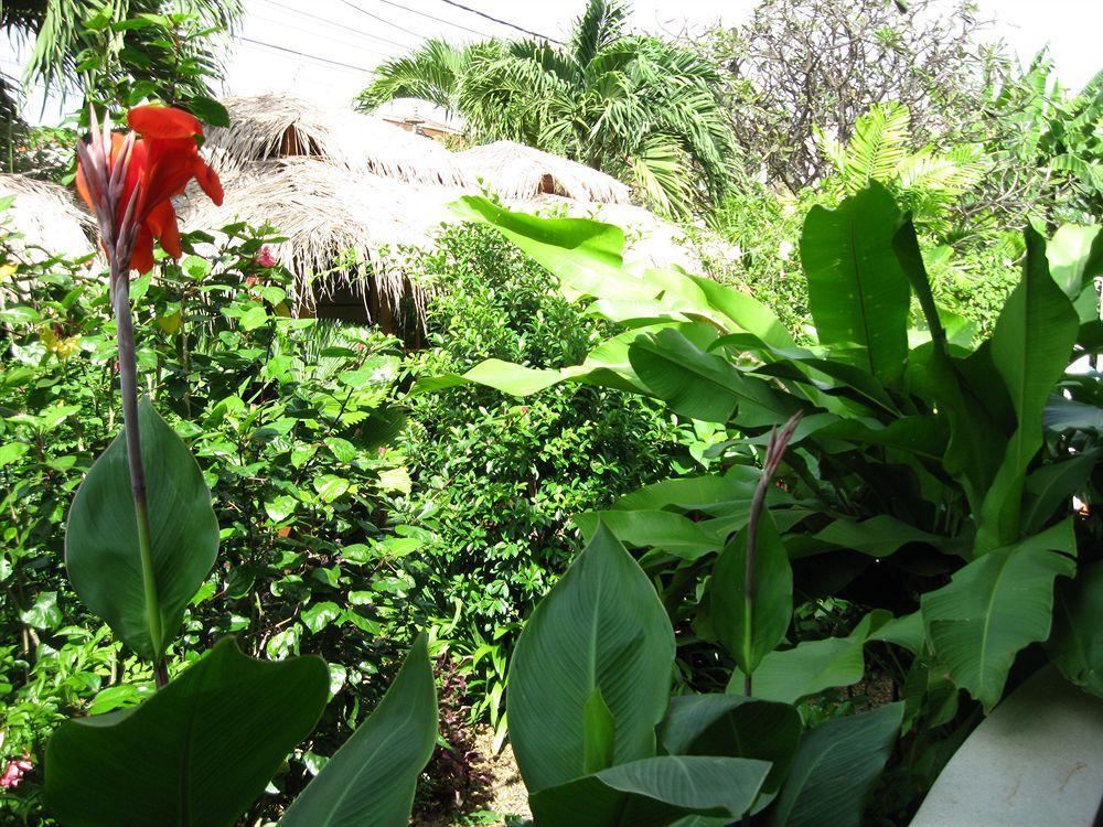 The Villa Paradiso Ltd. Phnom Penh Dış mekan fotoğraf